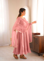 Doremon Crush Mirror Work Gown Set
