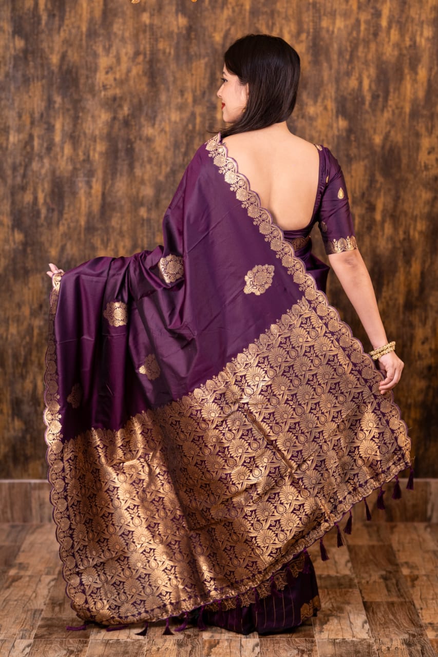 Banarasi Cutwork Soft Silk Saree
