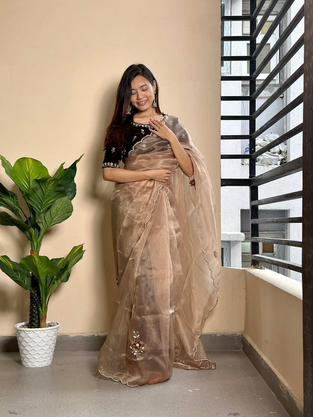 Jenny Organza Moti Cutdana Saree