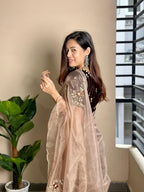 Jenny Organza Moti Cutdana Saree