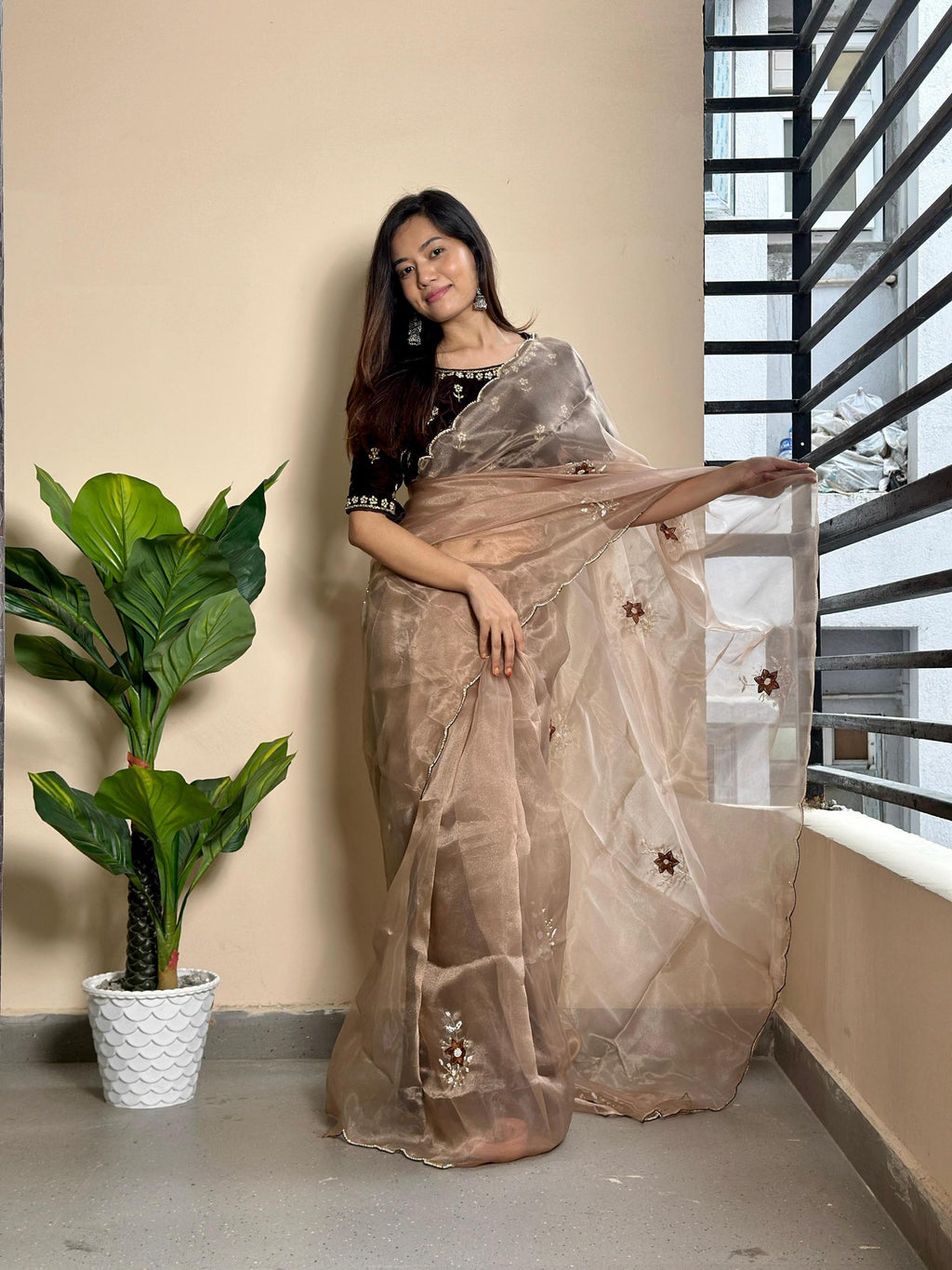 Jenny Organza Moti Cutdana Saree