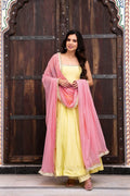 Elegant Faux Georgette Anarkali Set