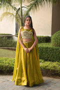 Fendy Silk Beaded Lehenga Set
