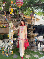Beautiful Embroidered Farshi Set