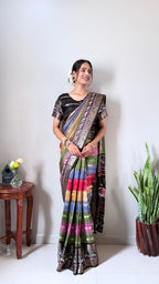 Rainbow Dola Gown Saree