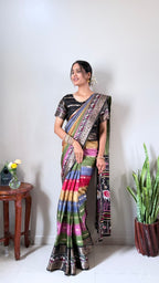 Rainbow Dola Gown Saree