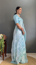 Swarovski Burbury Saree